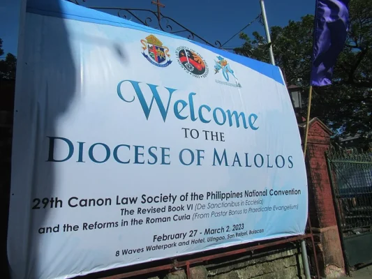 Illustration: Frequently Asked Questions About Canon Law For Catholics
