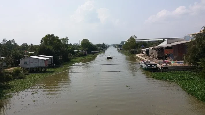 Illustration: Frequently Mentioned Vietnamese Bishops in Search Results