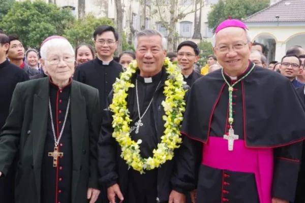 Illustration: The Canonization Process: How Vietnamese Bishops Initiate and Promote Sainthood Causes