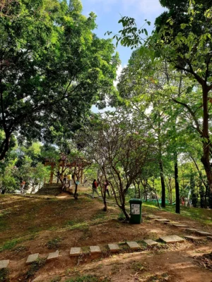 Illustration: The Committee's Mission: Empowering Lay Leaders Across Vietnam