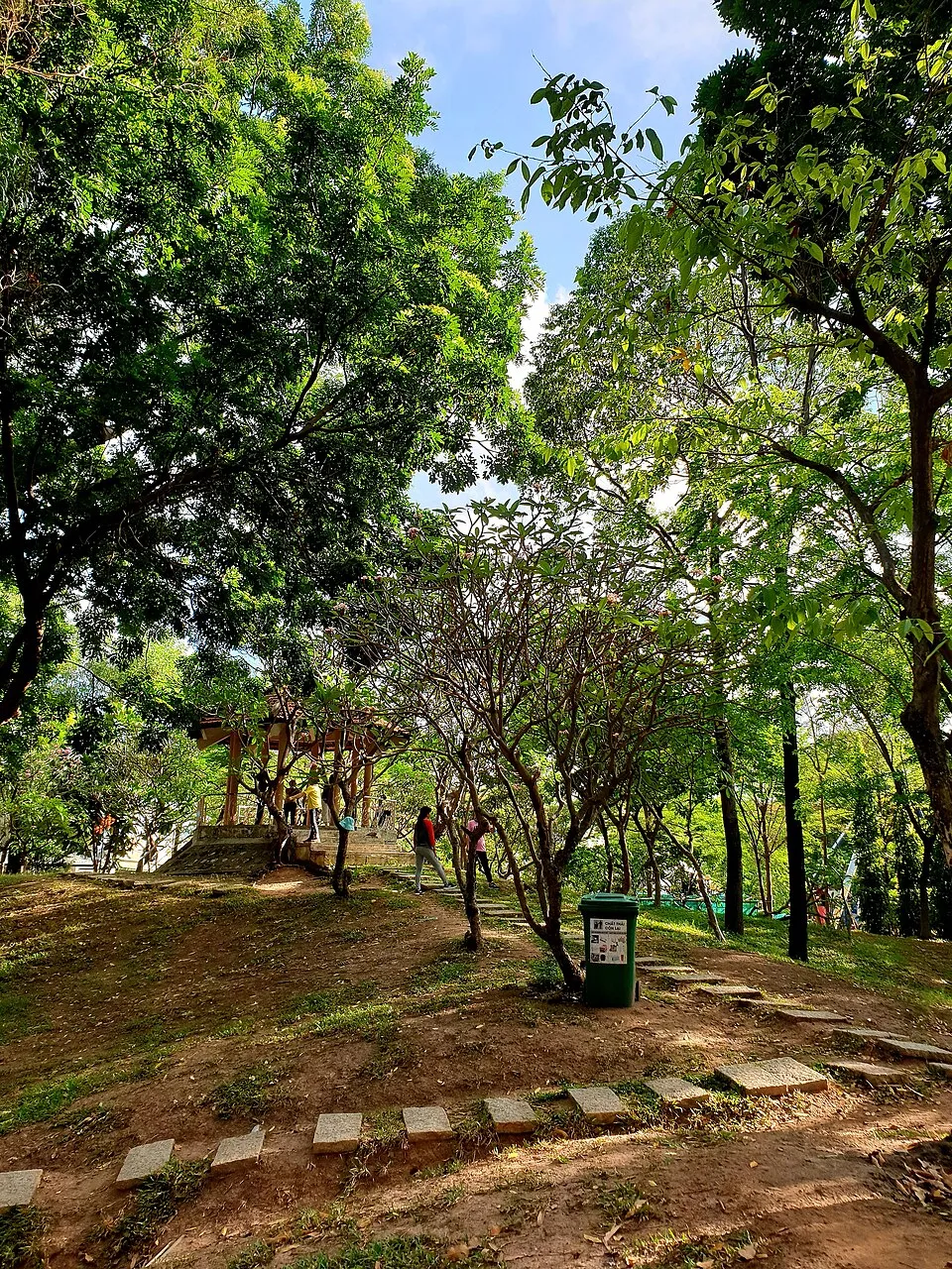 Illustration: The Committee's Mission: Empowering Lay Leaders Across Vietnam Illustration: The Committee's Mission: Empowering Lay Leaders Across Vietnam