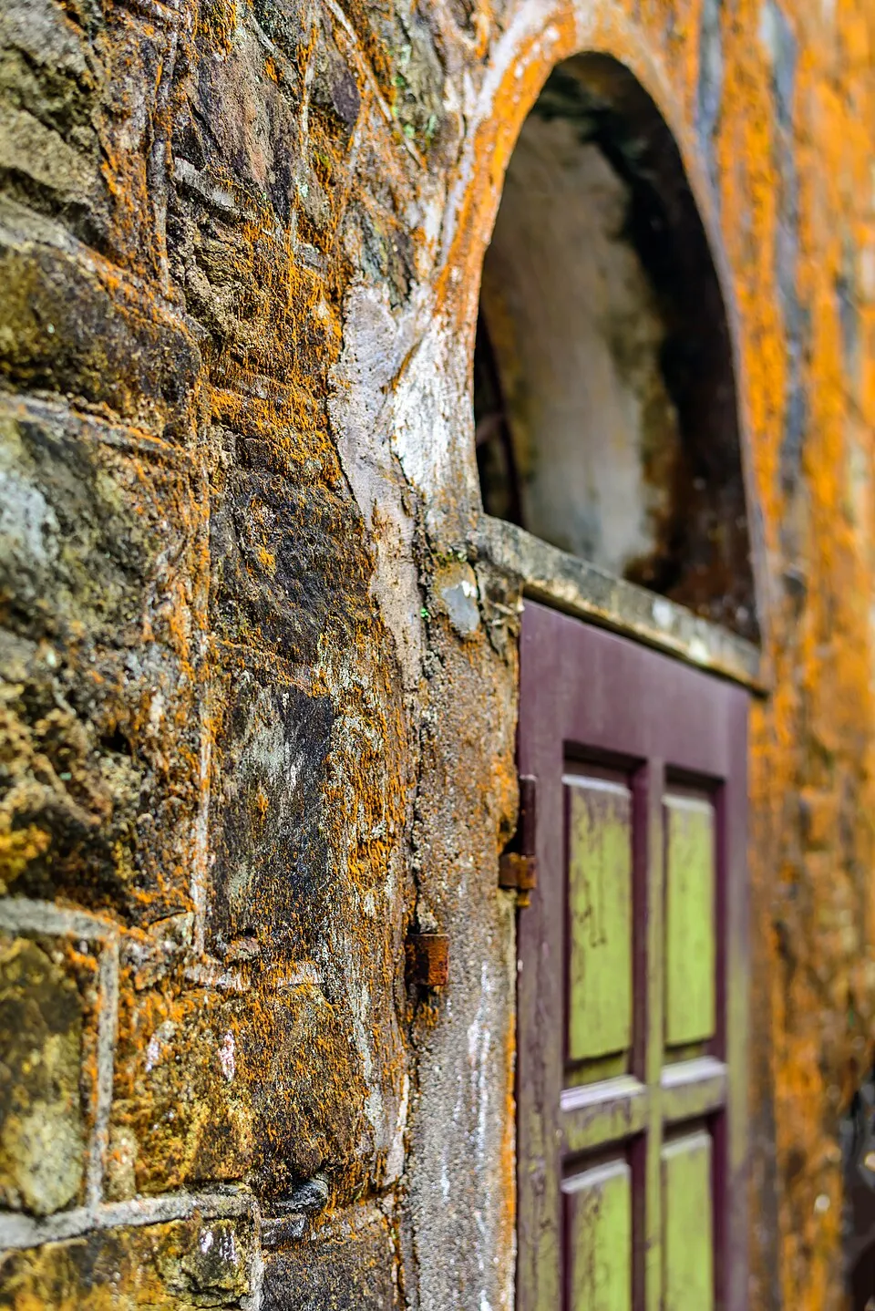 Illustration: The Five Liturgical Seasons: 2026 Dates and Structure