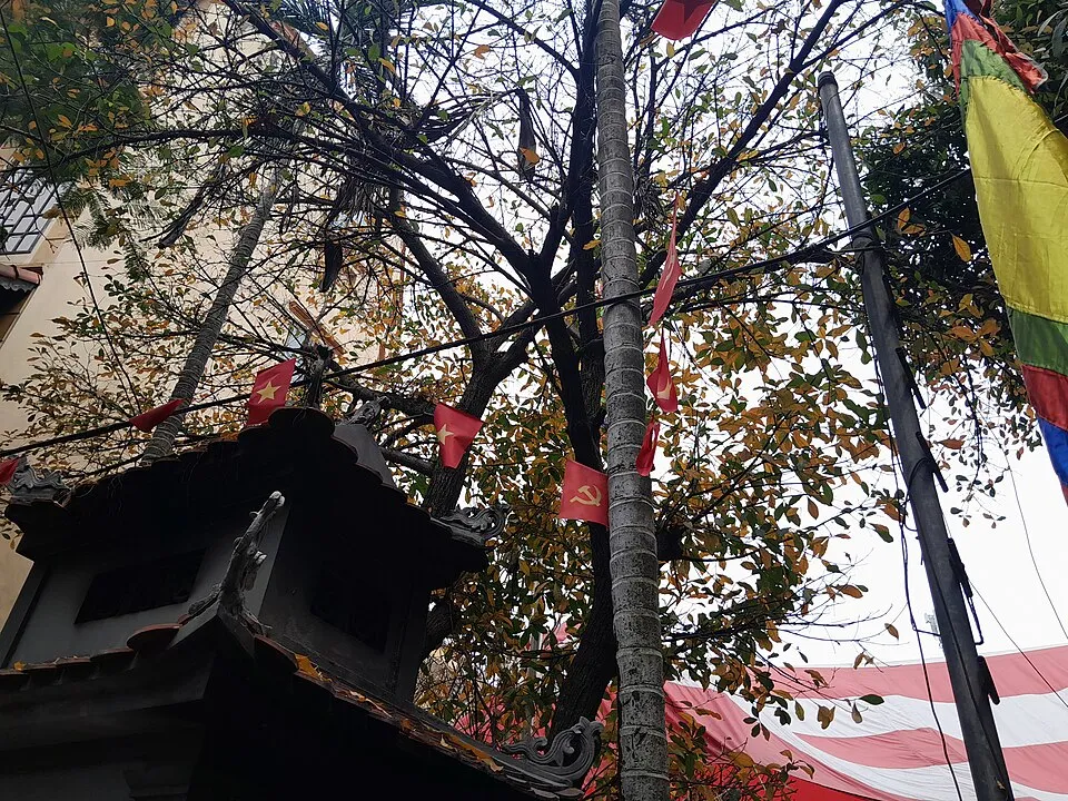 Illustration: Top 2026 Resources for Catholic Healing and Renewal