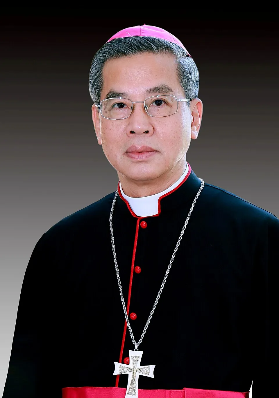 Illustration: Who Are the Current Archbishops of Vietnam? (2025-2026)